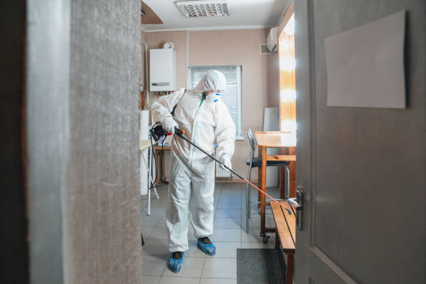 Best Commercial Mold Inspection  in Benld, IL