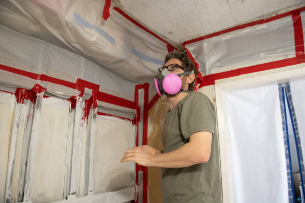 Best Mold Prevention Services  in Benld, IL