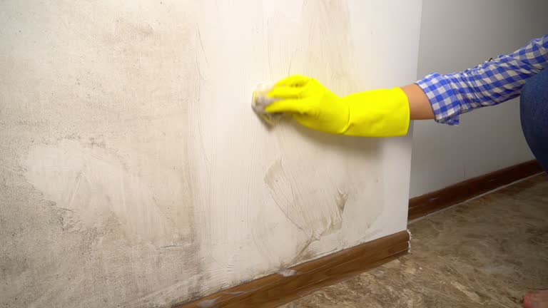 Environmental Consulting for Mold Prevention